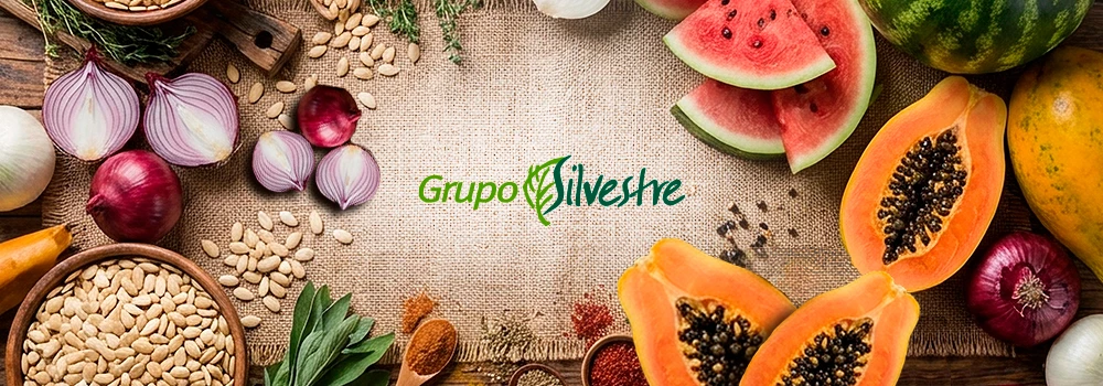 Grupo Silvestre fortalece su propuesta agrícola con semillas de alto rendimiento y genética internacional