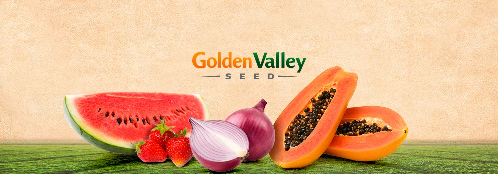 Golden Valley Seed: liderazgo, innovación y calidad en semillas agrícolas desde 1998